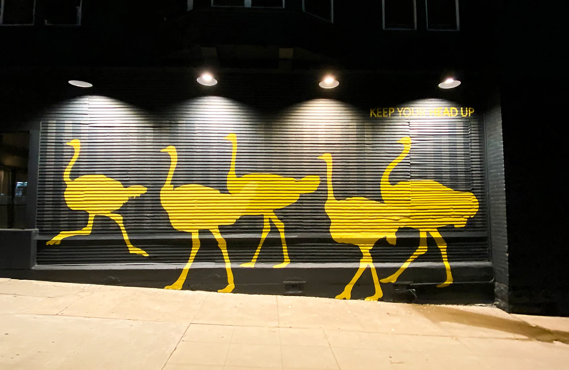 Nighttime view of the yellow ostrich mural lit by spotlights on the roll-down security gate