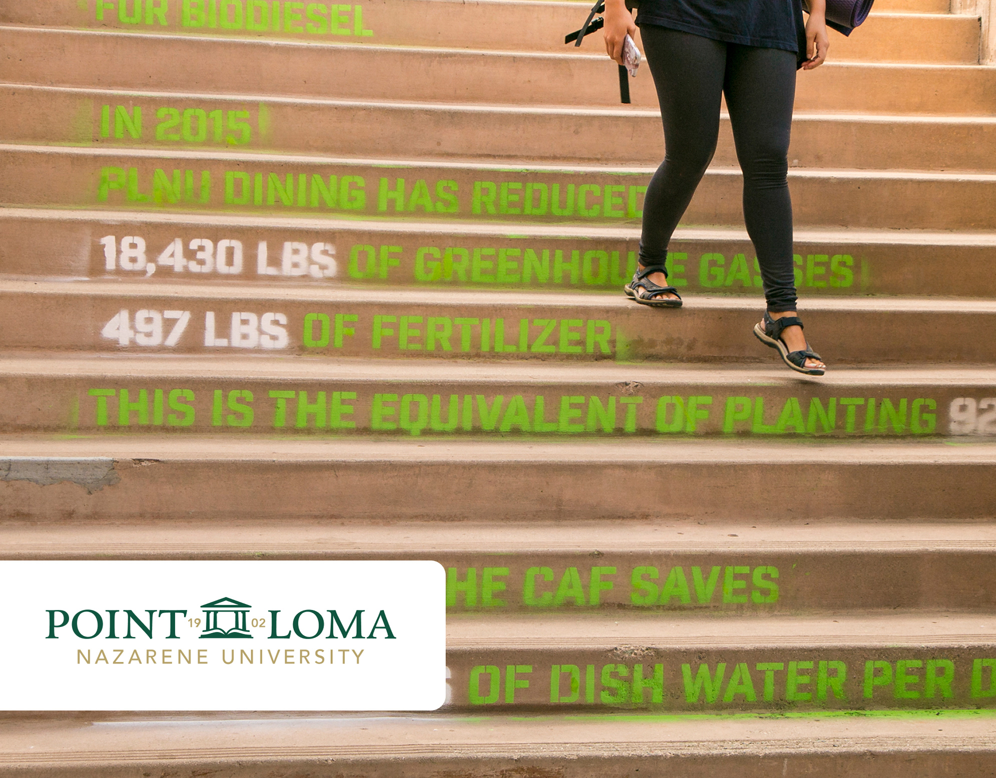 Creation Care Week cover: person walking down concrete steps stenciled with green sustainability statistics on biodiesel and emissions