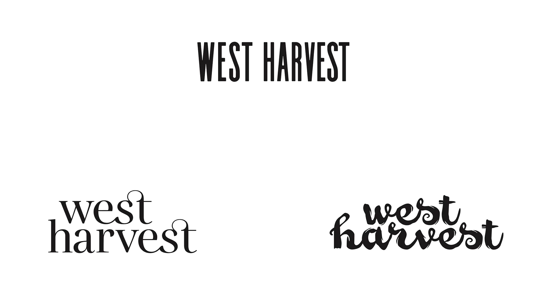 Three more West Harvest wordmark studies in condensed sans-serif and script lettering styles