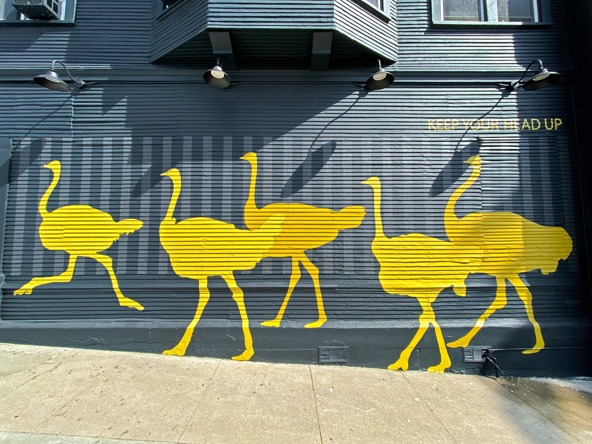 Daytime view of the yellow ostrich parade mural and Keep Your Head Up text on the dark storefront wall