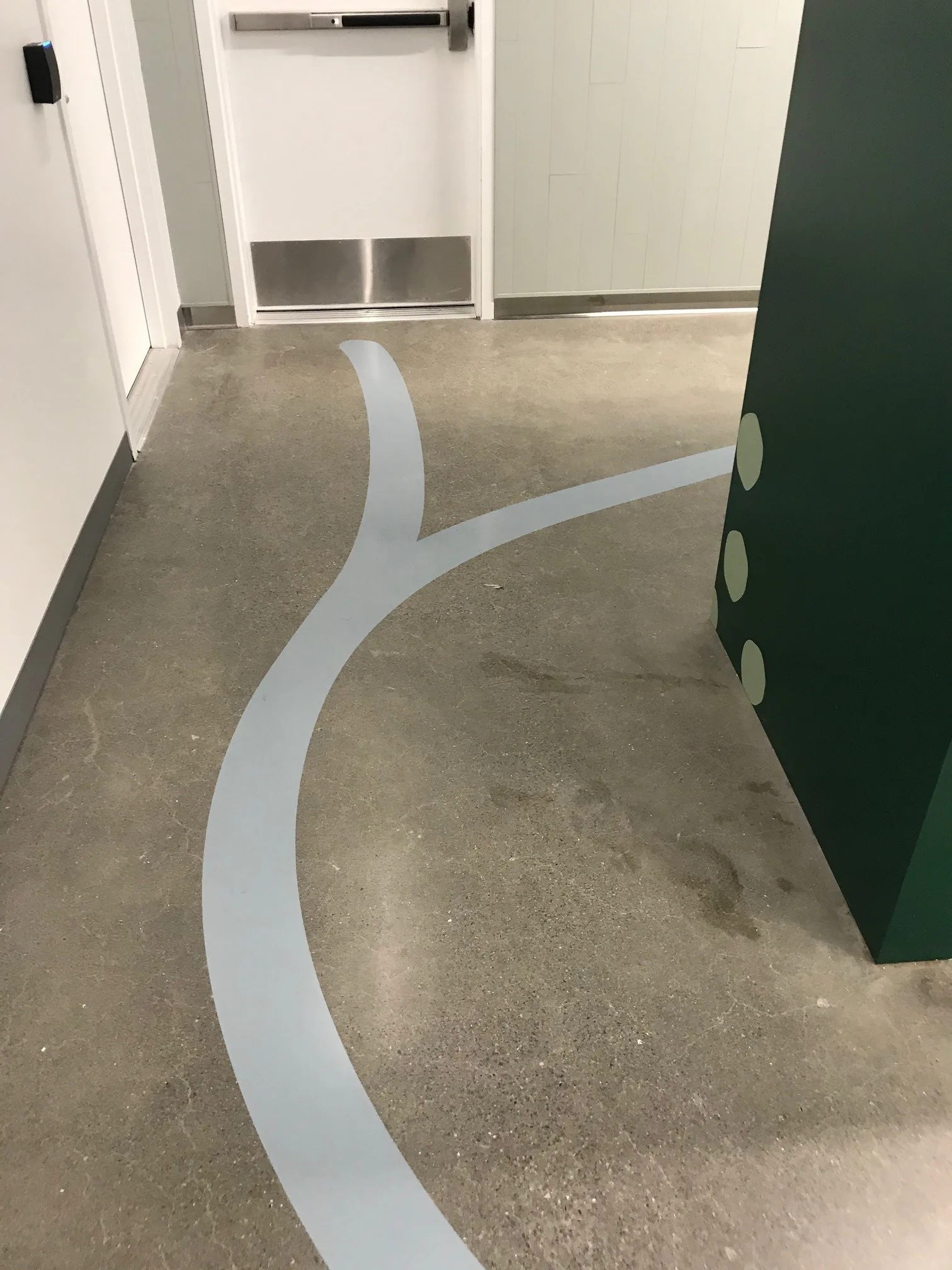 Branching wayfinding path lines painted on the concrete floor near a service door and green millwork