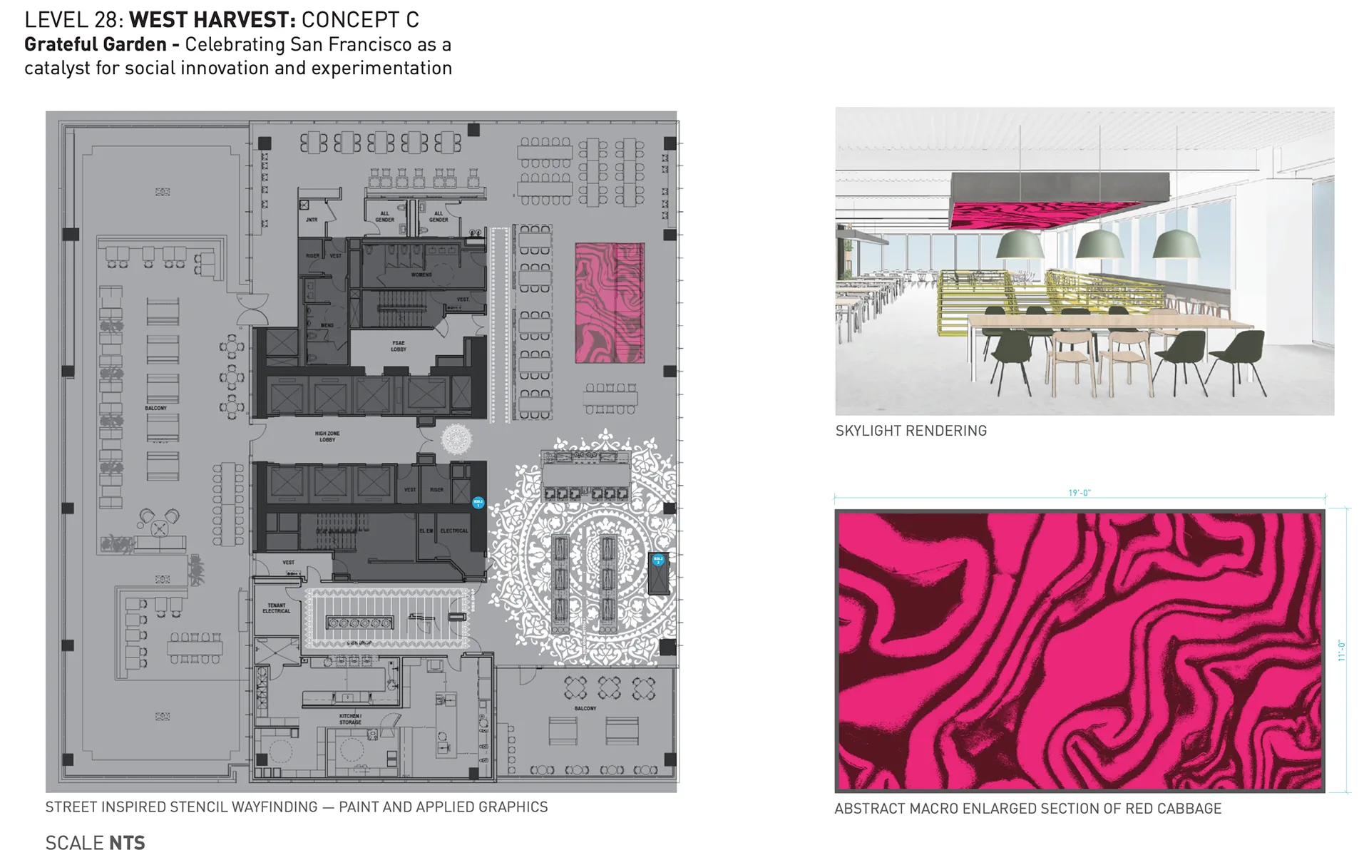 Grateful Garden concept floor plan with stencil wayfinding, a skylight seating rendering, and macro red-cabbage art