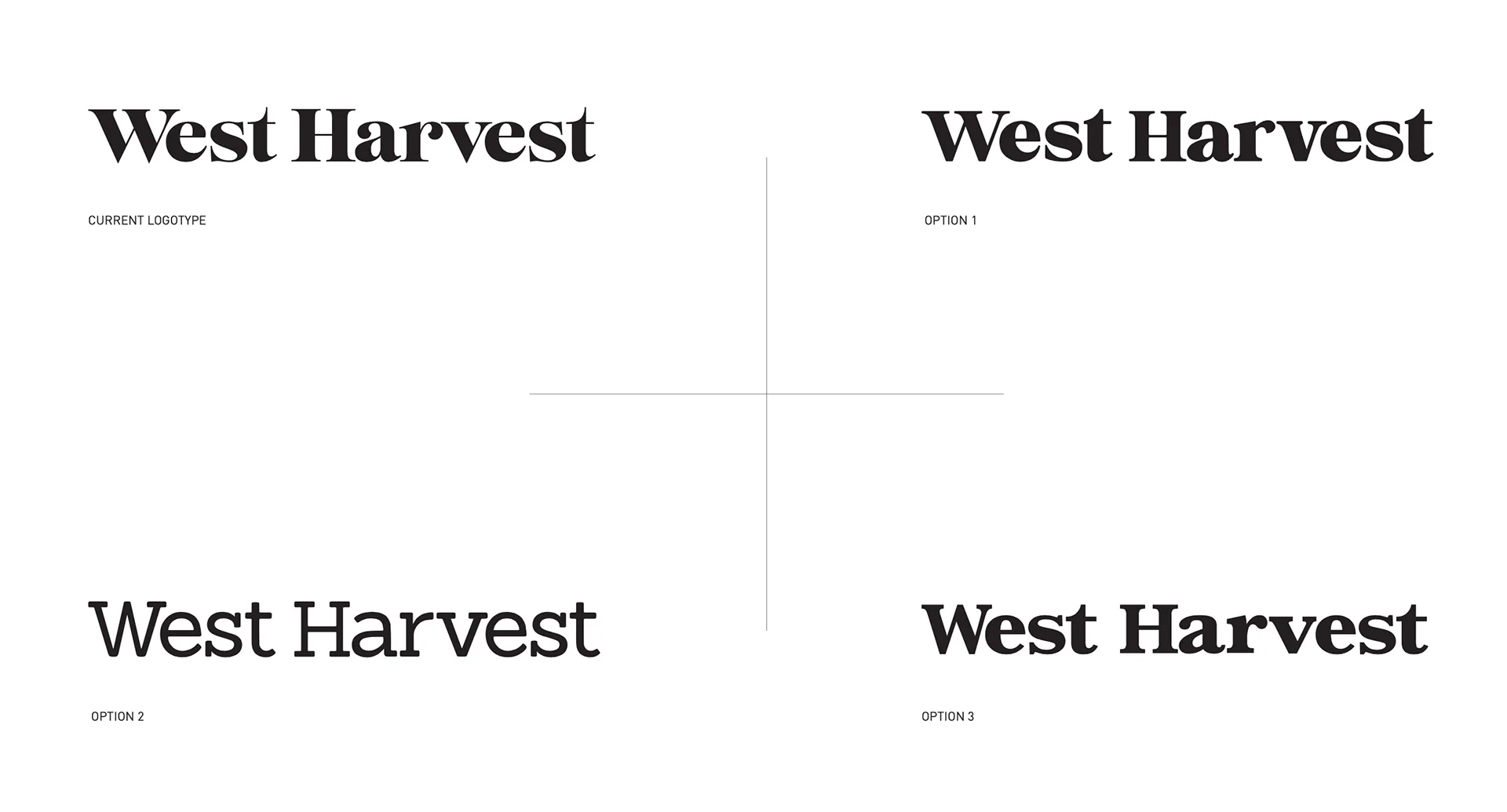 Four serif typeface options for the West Harvest logotype compared side by side